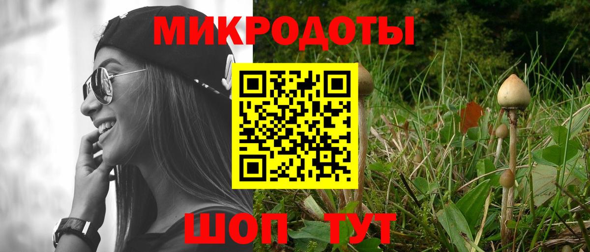 Новоалександровск  Псилоцибиновые грибы мицелий  Вход с VPN 