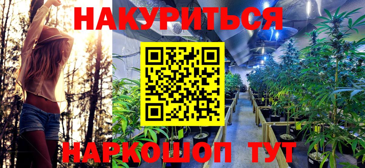 Шишки марихуана конопля Новоалександровск